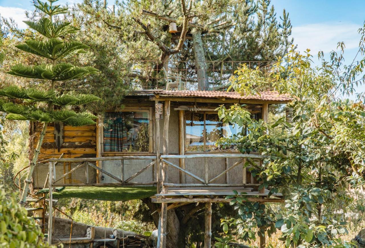 Campo Lago Hospedaje San Pablo Del Lago Екстер'єр фото